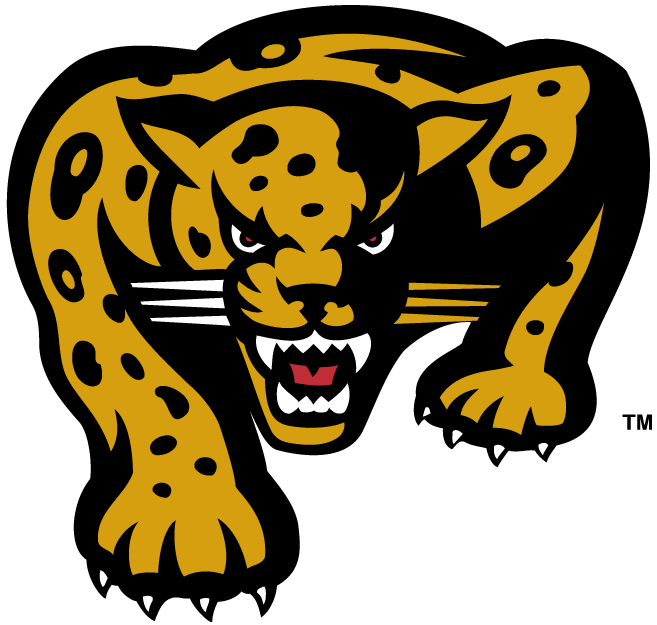 IUPUI Jaguars 2002-2007 Alternate Logo diy DTF decal sticker